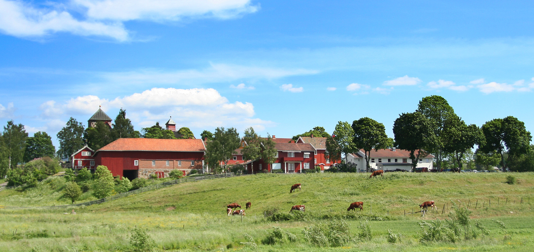 Rekruttere utenfor storbyen